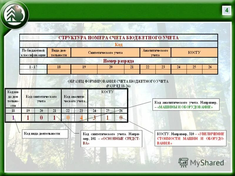 Код аналитического счета. Структура номера счета бюджетного учета. Номер счета бюджетного учета. Из чего состоит счет бюджетного учета. Структура счета в бюджете.