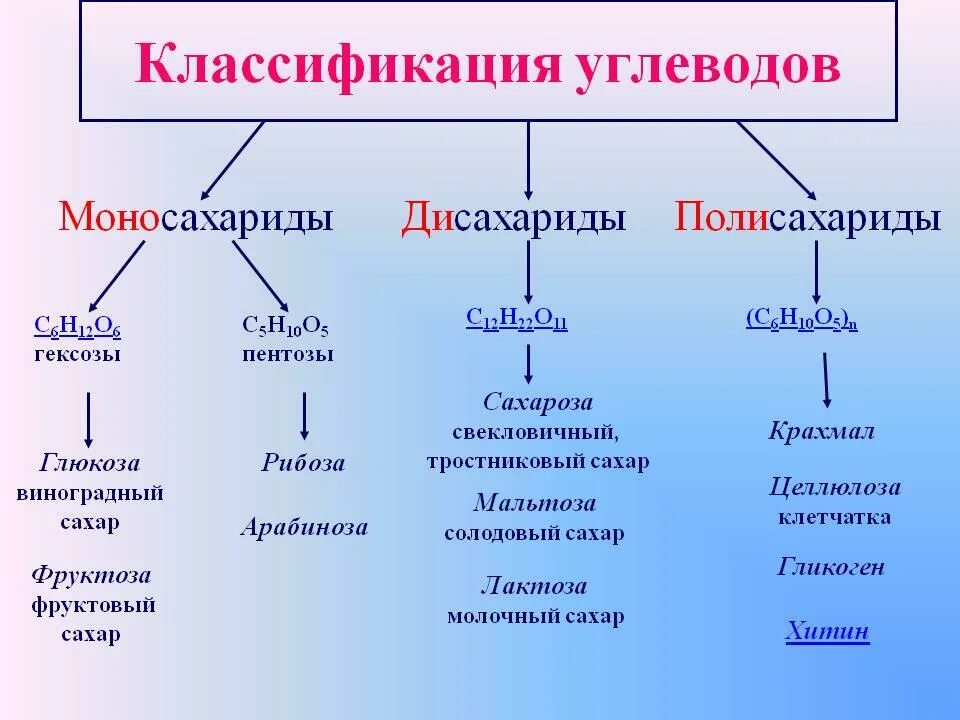 Углеводы таблица биология. Классификация углеводов: 1. моносахариды. классификация углеводов моносахариды дисахариды. классификация углеводов таблица. группа углеводов моносахариды таблица.