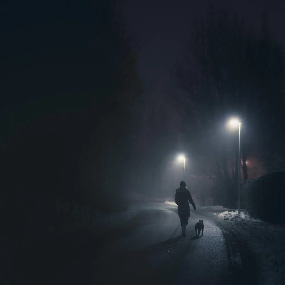 Дорога белела освещенная месяцем. Микко Лагерстедт. Одинокий человек ночью. Одиночество в ночи. Человек на ночной дороге.