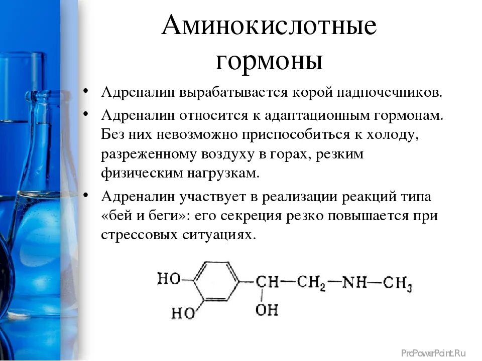 Адреналин образуется. Строение гормона адреналина. Адреналин характеристика гормона. Адреналин презентация. Эпинефрин гормон.