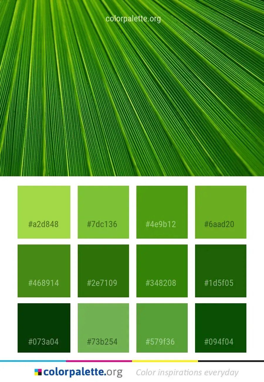 Зеленым цветом читать. Оттенки зелёного цвета. Палитра зеленых оттенков. Цветовая гамма зеленого цвета. Оттенки зелёного цвета палитра.