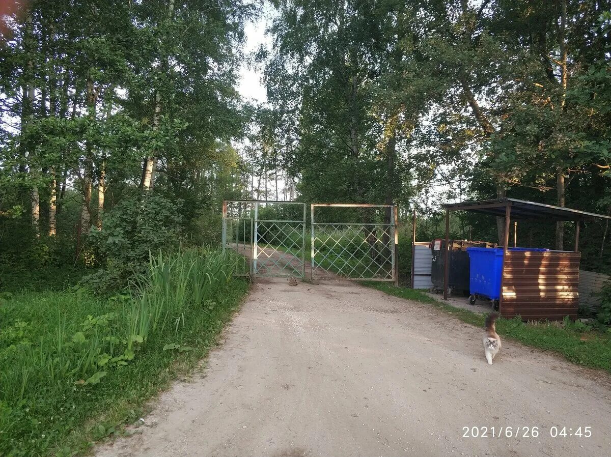 Дорога через снт. Дороги в снт. асфальт снт. перекрытие дороги в снт. просушка дорог в снт.