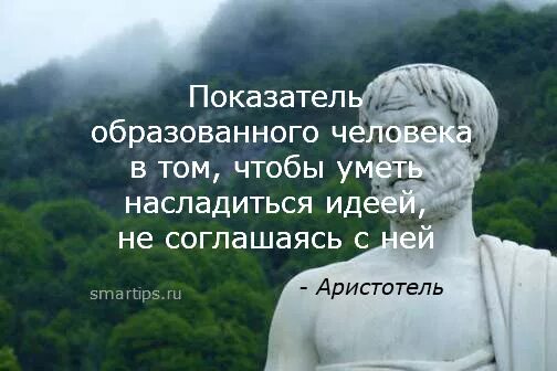 Аристотель цитаты. Мудрые мысли аристотеля. аристотель цитаты о жизни. аристотель мудрые высказывания.