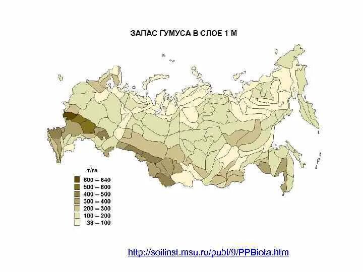 Регионы россии по степени уменьшения естественного плодородия. Карта почв гумуса России. Карта содержания гумуса в почве. Карта плодородности почв. Карта содержание гумуса в России.