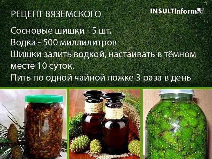 Настойка на шишках сосны. Настой из шишек от инсульта.