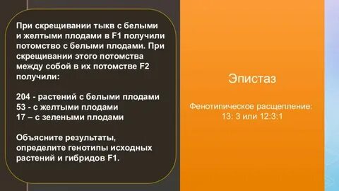 При скрещивании тыквы с белыми плодами