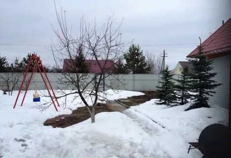 Погода ленинградские плодовые