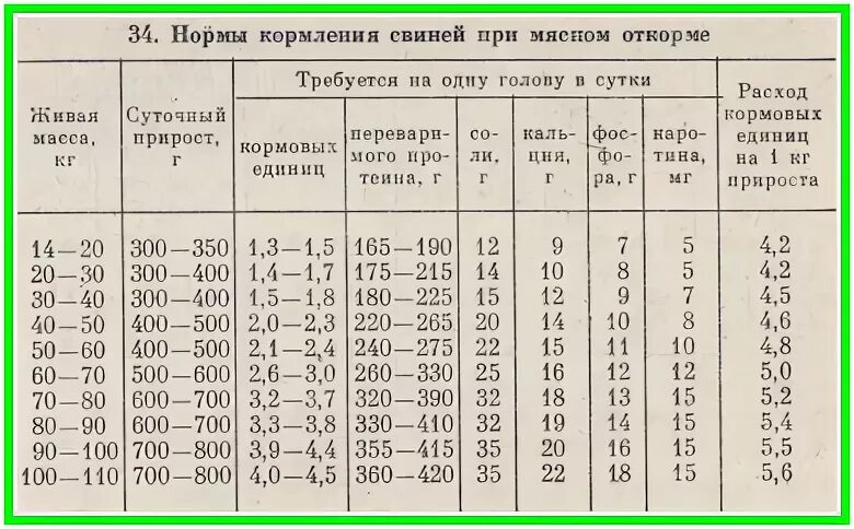 Можно ли месячным поросятам давать. Нормы кормления свиней на откорме таблица. Таблица сухого кормления свиней. Откорм свиней схема кормления. Схема кормления поросят комбикормом.