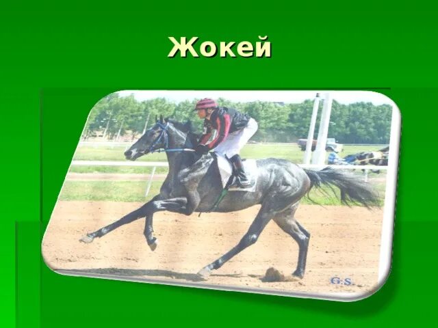 Jockey логотип. Жокей откуда слово. Жокей и лошадь на уроке. Жокей откуда слово. Жокей откуда слово.