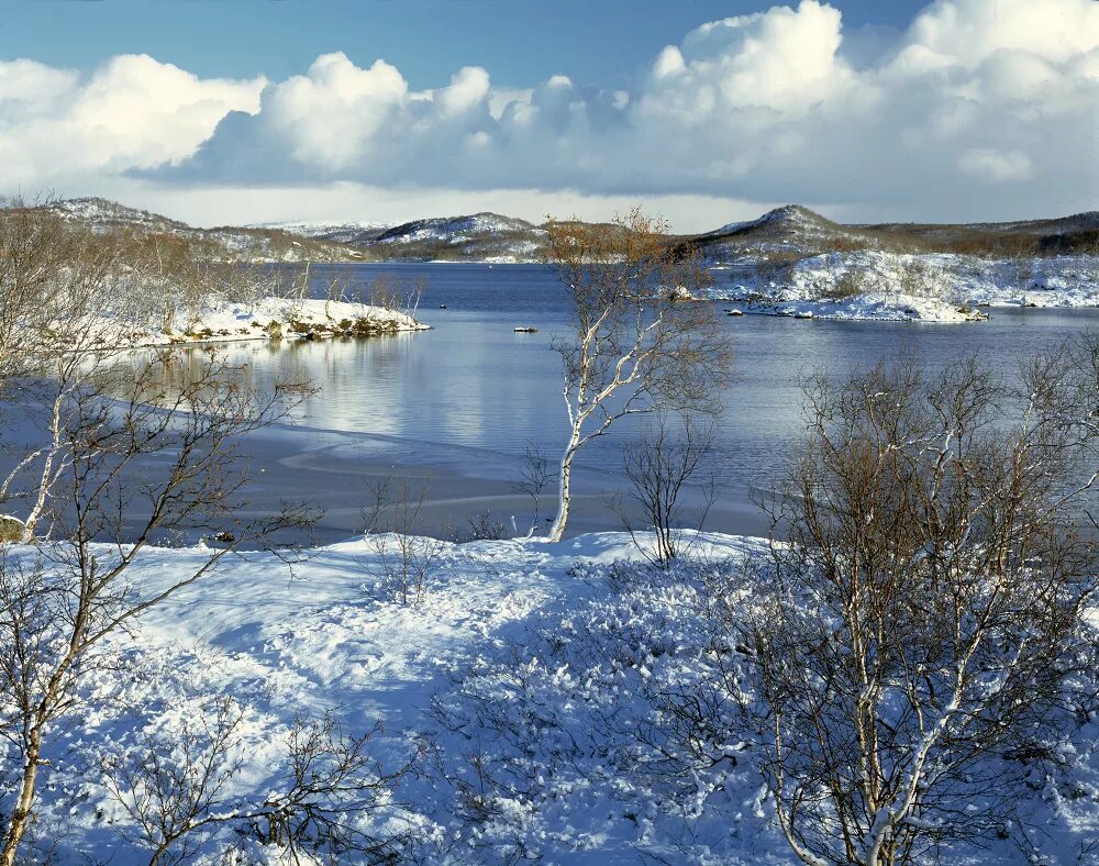 пять углов мурманск 2021. окта мурманск. окта мурманск. окта мурманск. мурманск зимой.