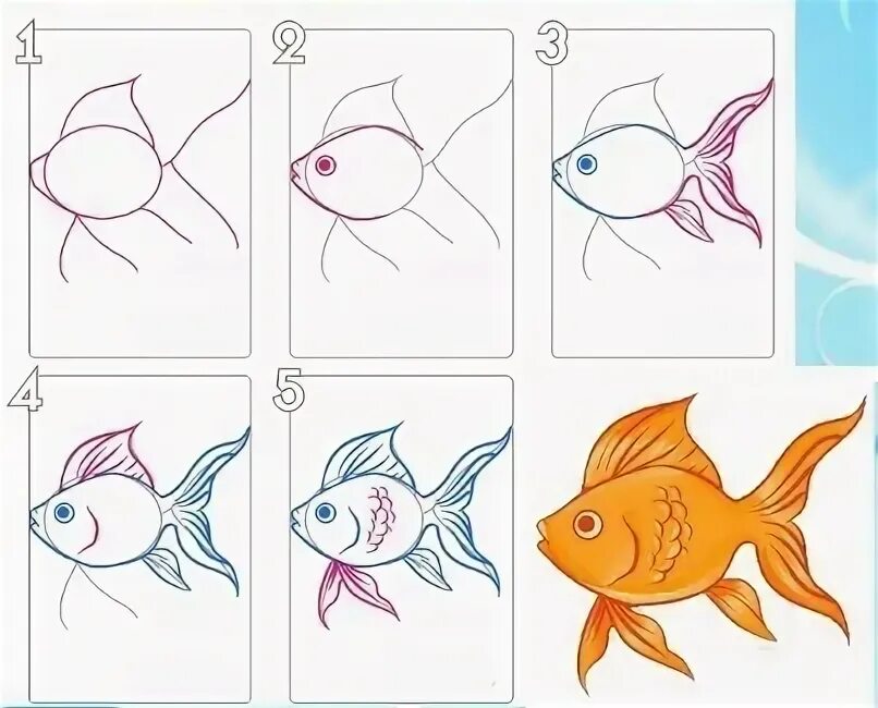 поэтапное рисование золотой рыбки. поэтапное рисование золотой рыбки. этапы рисования золотой рыбки. рыбка пошаговое рисование для детей. нарисовать золотую рыбку поэтапно.