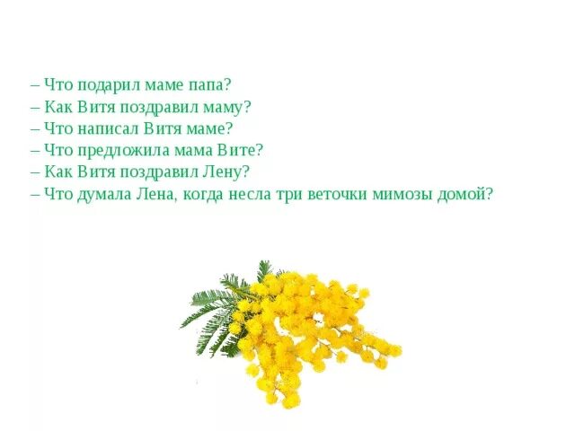 Стишок для детей про ветку мимозы. Три ветки мимозы. Изложение три ветки мимозы. Рассказ 3 ветки мимозы. Мимозы для мамы песня