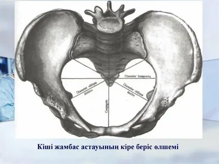 Көпшілік менің әйелімді қалай жібітті