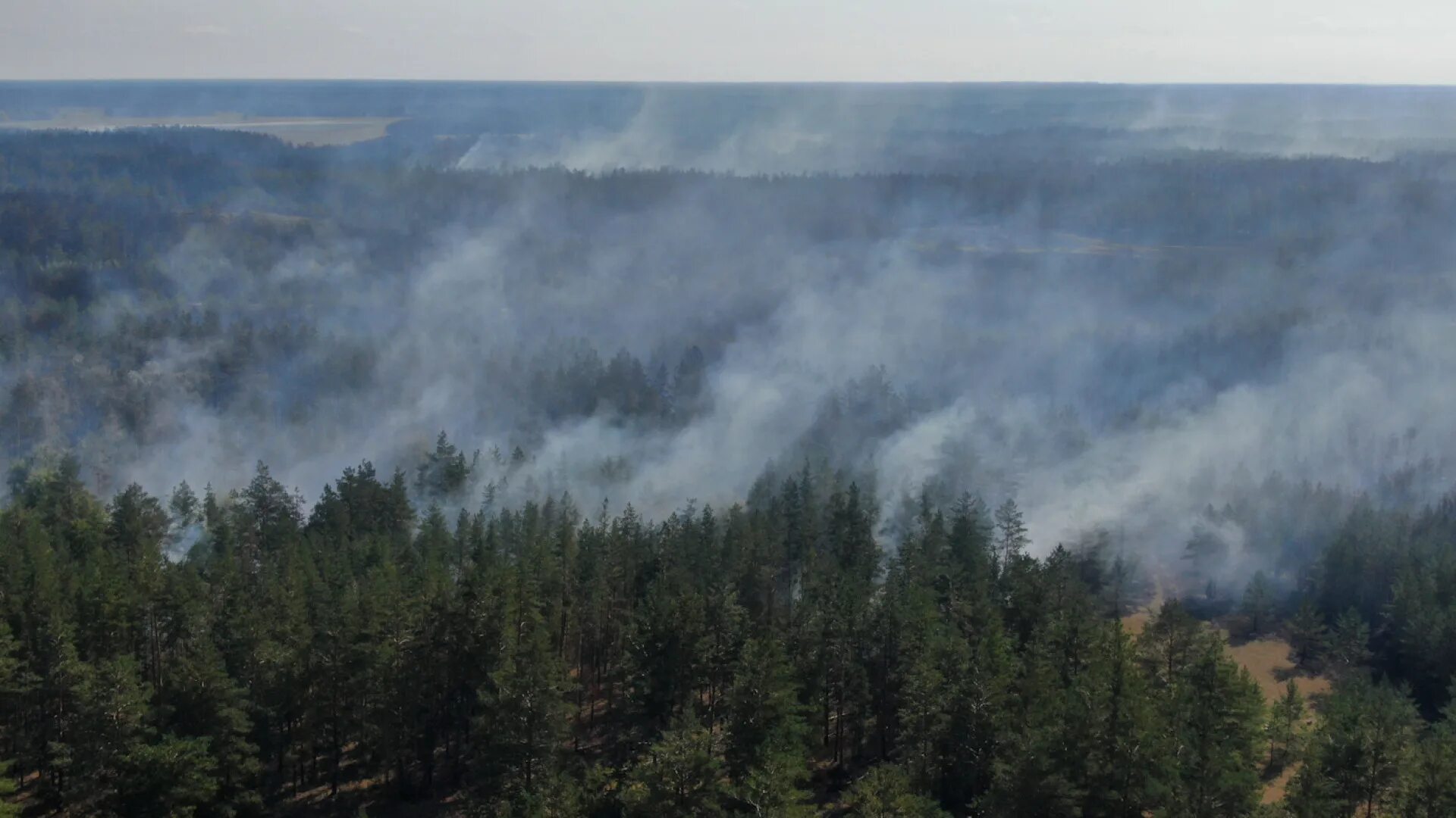 Лесные и степные пожары. Лесной пожар фото. Лесные пожары в Сибири. Лесной пожар Хакасия.