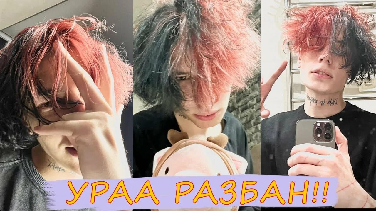 Zxcursed блоггер. Курсед zxcursed. курсед прическа стример. cursed прическа. курсед лицо zxc стример.