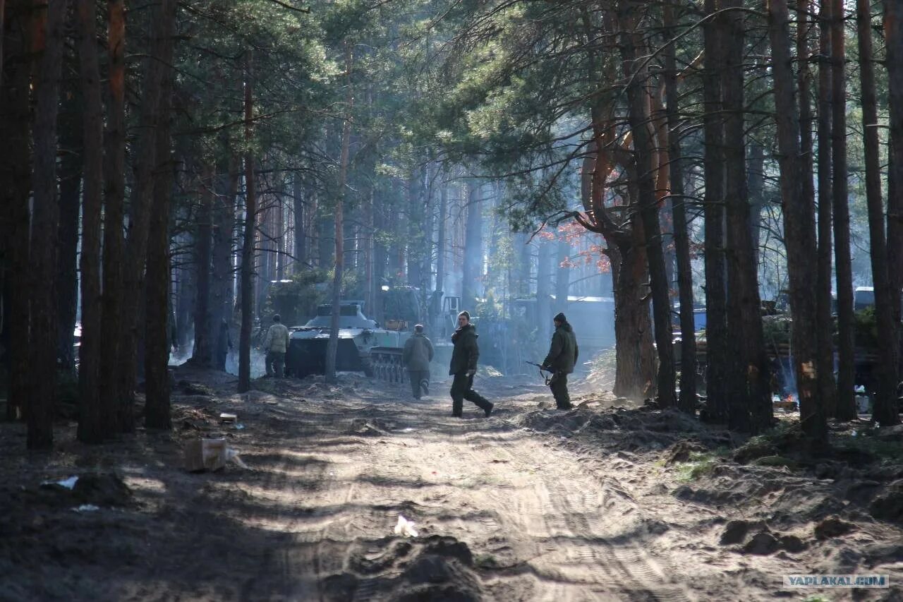 Были вчера в лесу