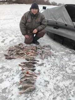 Отчеты о рыбалке новгород