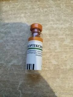 Кортексин уколы как колоть
