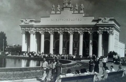 На вднх открылся павильон