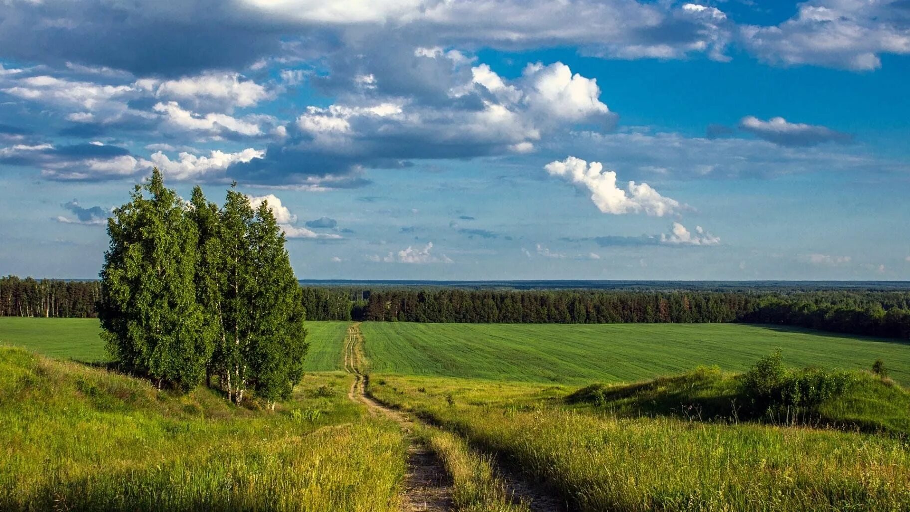 Родной край нижегородской области. Восточно-европейская равнина Холмистая. Среднерусская лесостепная провинция. Луга среднерусской лесостепи. Лесостепи Восточно европейской равнины.