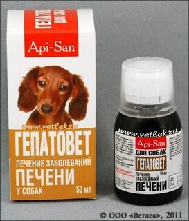 Можно собаки печень