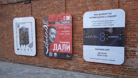 Seno санкт петербург гороховая