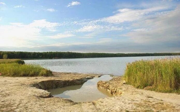 Хомутинино Челябинская область озеро Подборное. Озеро Подборное Увельский район Челябинская область. Озеро Подборное Увельского района. Грязи озера Подборное Челябинская. Соленые озера челябинской области