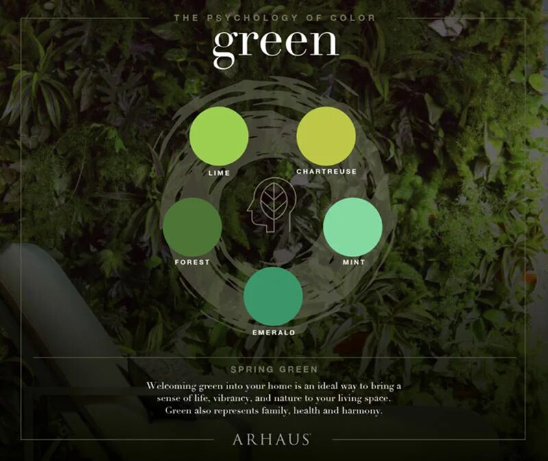 Sensing is life. Green Color Psychology. Psychology of Green. Shadows of Green Colour. Изумрудный цвет в психологии.