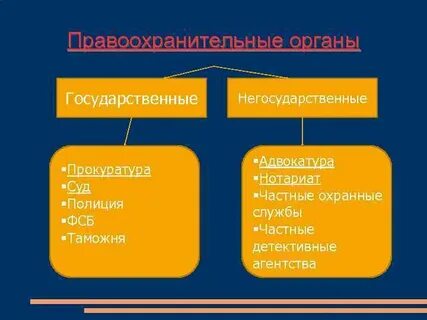 Правительство относится к правоохранительным органам