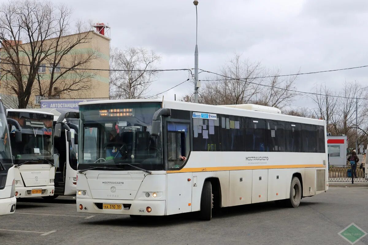 Сегодня автобус руза москва