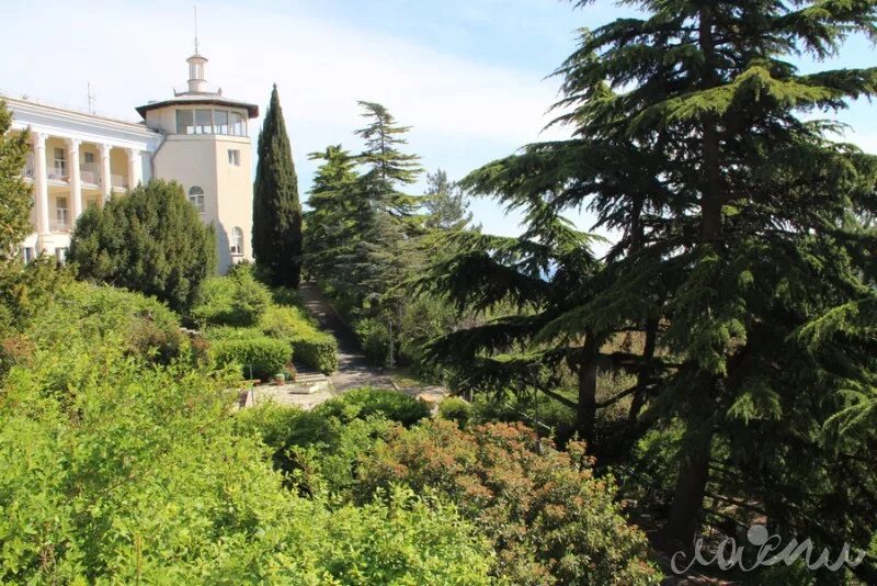 Пансионат александрова-дольника симеиз. Пансионат мечта евпатория крым. Пансионы крыма. Санаторий мрия евпатория. Парк отель демерджи алушта.