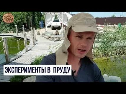 Коммерческих магазинов сейчас прудом пруди