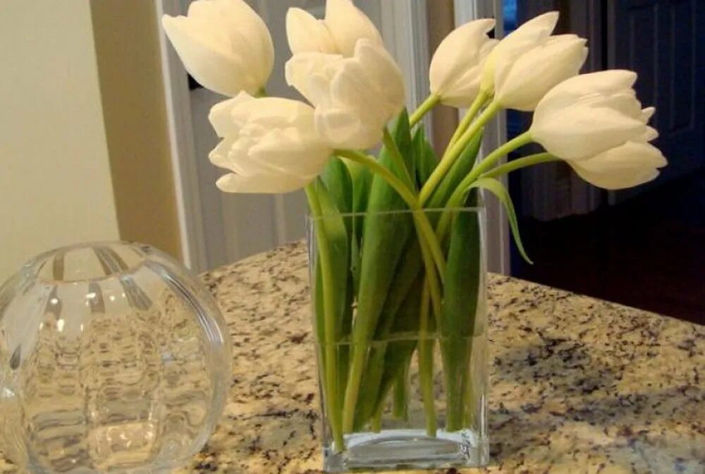 Как сохранить букет тюльпанов в вазе дольше. Букет тюльпанов в вазе. Тюльпаны в вазе дома. Букет белых тюльпанов на окне. Тюльпаны в вазе на окне.