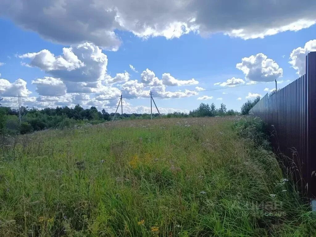 Плашкино новгородская область. Новое село новгородская область. Плашкино новгородская. Плашкино новгородская. Морхово новгородская область.