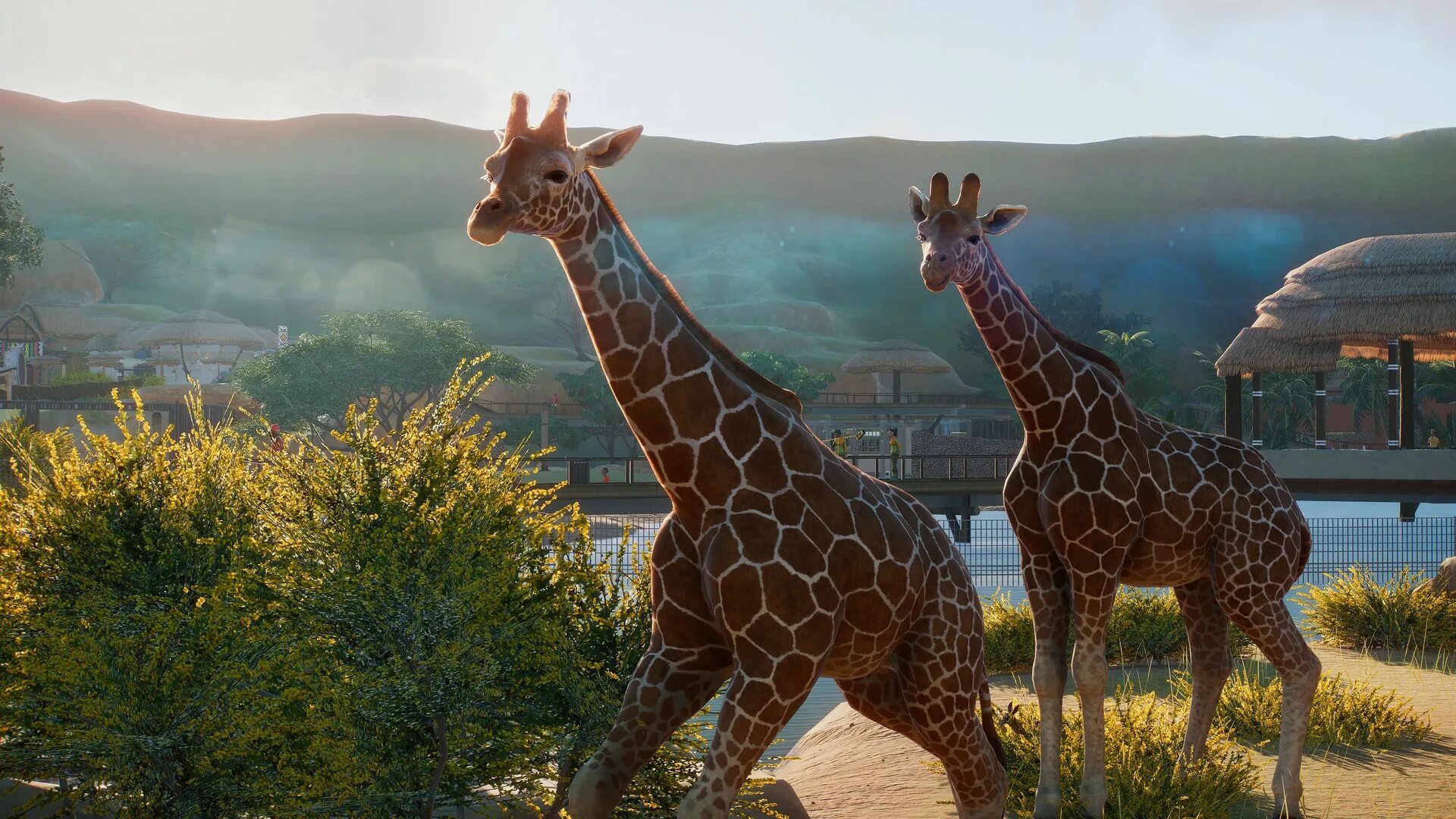 Планет зу. Игра planet zoo. planet zoo: deluxe edition. зоопарки в игре планета зоо. planet zoo 2019.