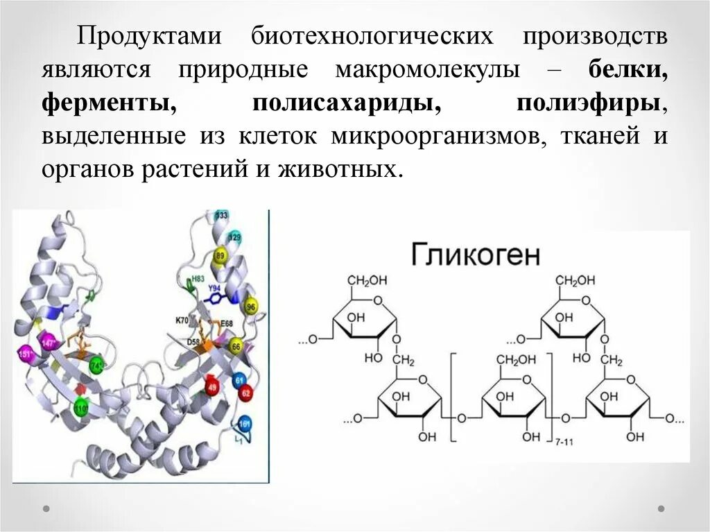 Природные макромолекулы. Биотехнологическое производство белков. Белки являются ферментами. Макромолекулы клетки. Фермент птиалин расщепляет