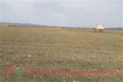 Шишкино забайкальский
