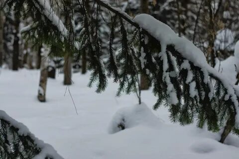 Запчасти снег тайга