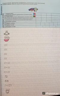 Мазина тетрадь учусь писать красиво