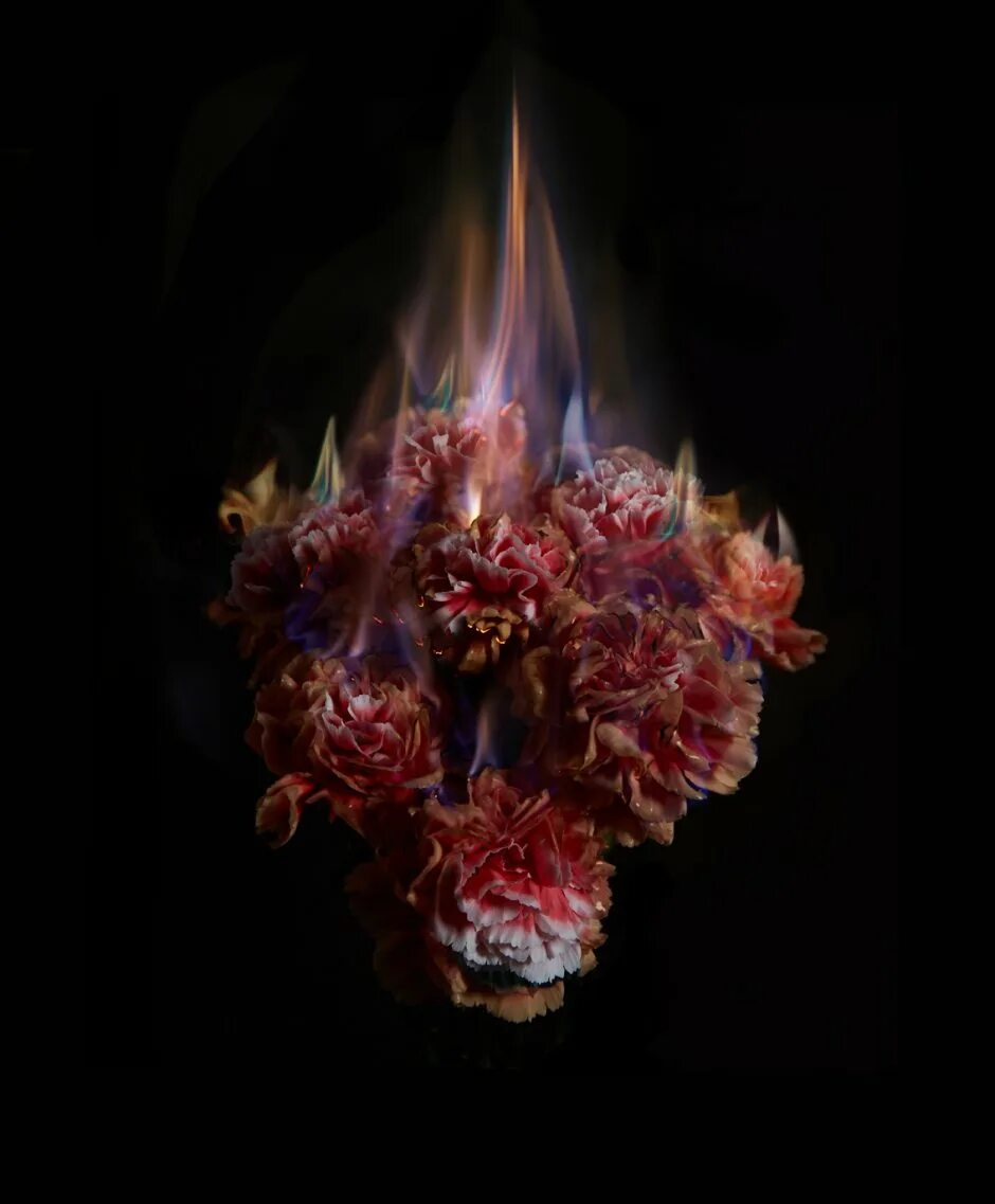 Burnt roses