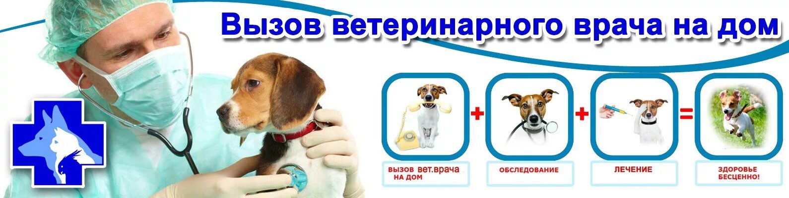 Вызов ветеринара на дом. Вызов ветврача на дом. Вызов врача ветеринара на дом. Вызов ветеринарного врача на дом. Отзыв врачу ветеринару