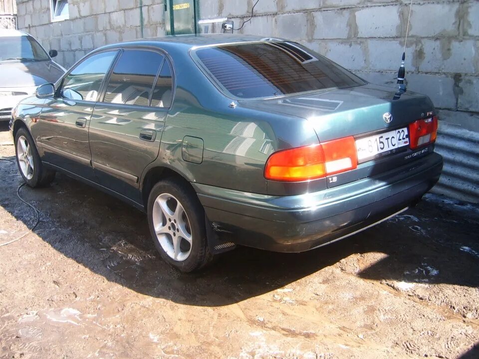 Carina e купить. Toyota Carina e 1997. Toyota Carina e 1997 лифтбэк.