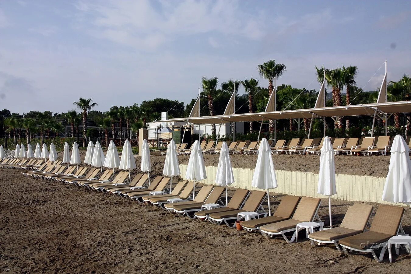 Crystal Flora Beach Resort 5. Отель Crystal Flora Beach Resort Kemer. Crystal Flora Beach Resort Spa 5 Турция Кемер.