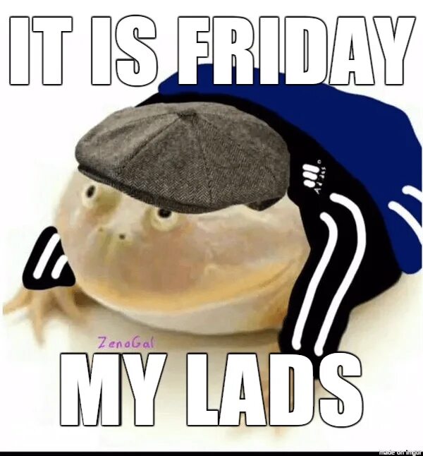 I get my on friday. Dude мем. мем it&#039;s a friday. its friday dude. мем wednesday жаба.