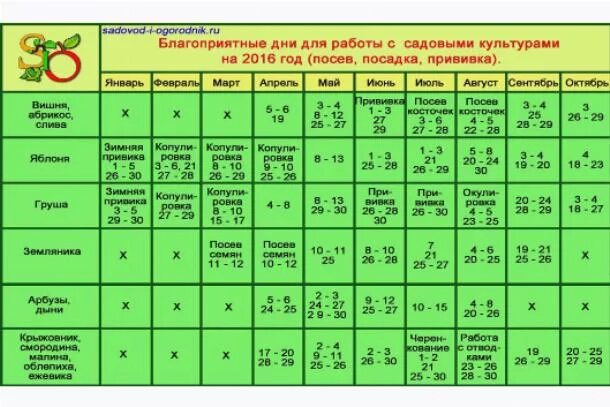 Лунный календарь плодовых деревьев. Календарь прививок плодовых деревьев. лунный календарь прививок. благоприятные дни для прививки деревьев. благоприятные дни для посадки.