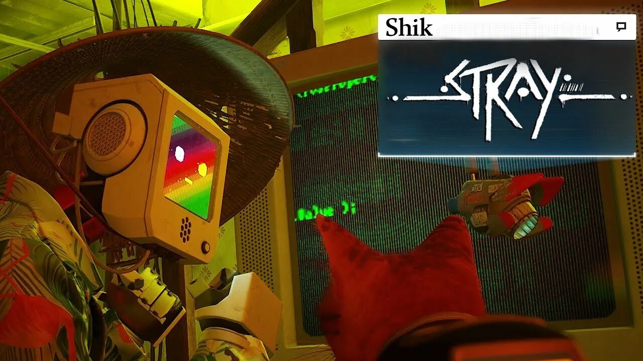 Stray робот. Stray игра. stray роботы. док стрей. stray игра роботы.