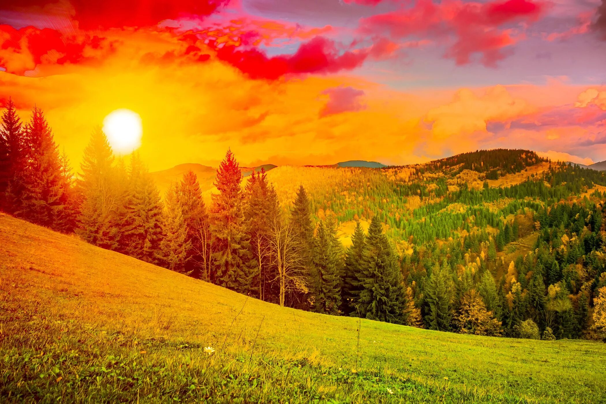 Красивая природа на рабочий стол. Природа рассвет. Рассвет солнца. Лето солнце. Красивый рассвет.