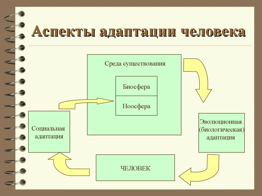 Аспекты адаптации человека. Адаптация организма человека. Биологическая адаптация человека. Адаптация человека к среде.