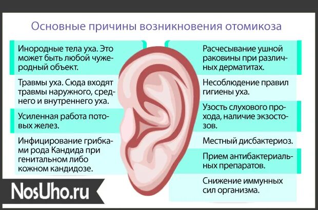 Грибковые заболевания ушей. Грибковая инфекция в ушах.