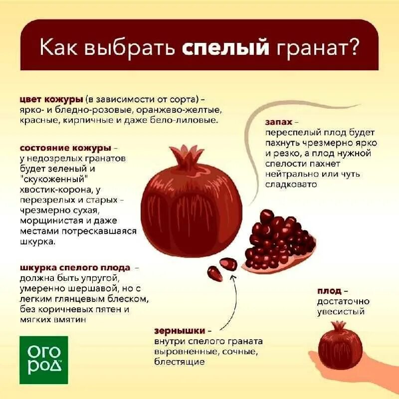 Как выбрать гранат спелый и сладкий